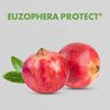 Euzophera Protect®