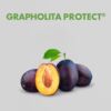 Grapholita Protect®