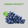 Lobesia Protect®