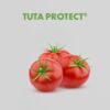 Tuta Protect®