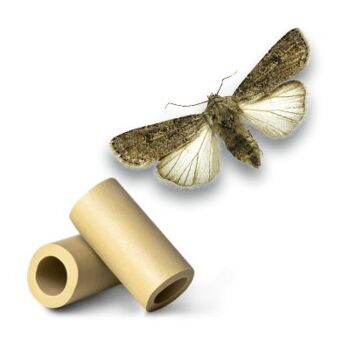 Agrotis segetum lures