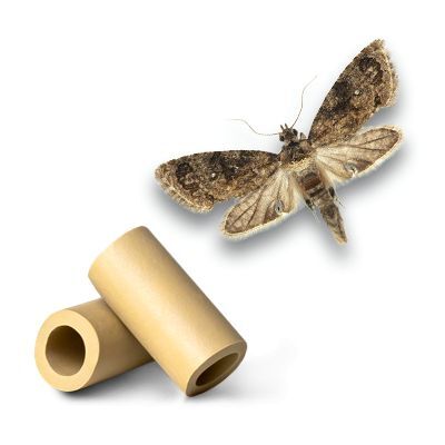 Momeala feromonală pentru Cryptophlebia (Thaumatotibia) leucotreta