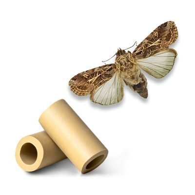 Momeală feromonală pentru Spodoptera litura