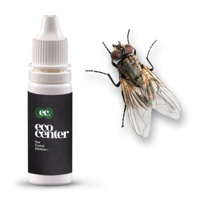 Momeala pentru Musca domestica