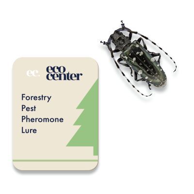 Momeală feromonală pentru Anoplophora glabripennis