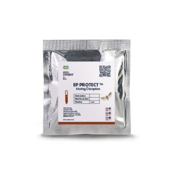 EP Protect® (10 pcs.)