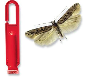 Tuta Protect®