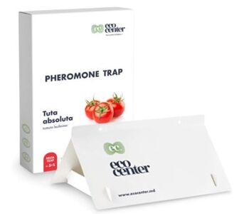 Tuta absoluta Delta Paper Trap Set