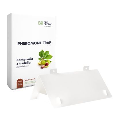 Cameraria ohridella Delta Paper Trap kit 300+300