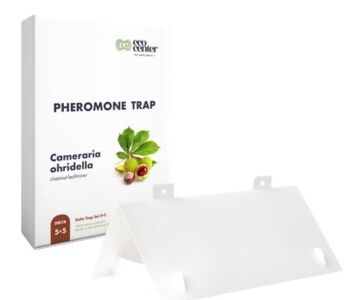 Cameraria ohridella Delta Paper Trap kit