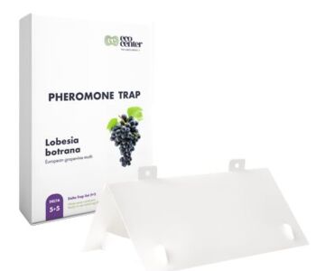 Lobesia botrana Delta Plastic Trap kit