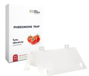 Tuta absoluta Delta Plastic Trap kit