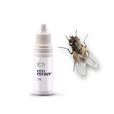 Housefly bait outlet