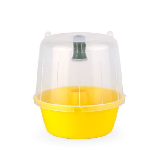EC Fruit fly trap