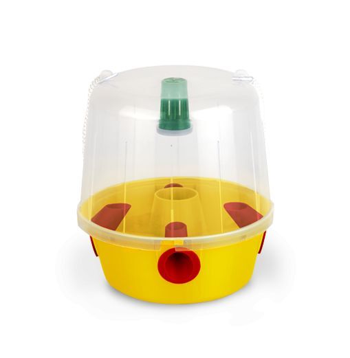 EC Fruit fly trap