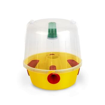 EC Fruit fly trap