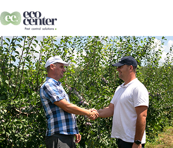 Sustainable Solutions for Monitoring and Controlling of Plum Pests