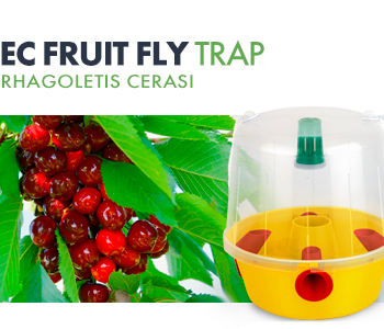 The EC Fruit Fly Trap Tops Eco Center's Product List